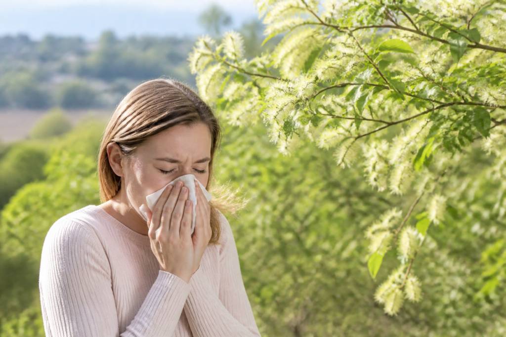 Pollen suisse : effets sur la santé, allergies et solutions pour mieux respirer