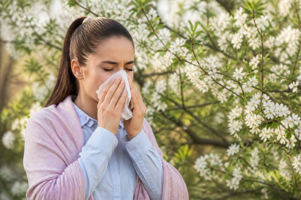 Météo pollen : prévisions, risques d’allergies et conseils pour mieux se protéger