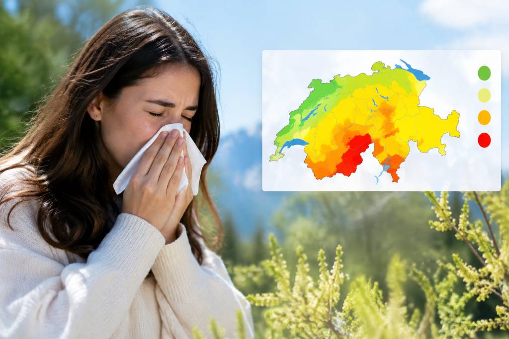 Carte pollen suisse : comprendre les prévisions polliniques et protéger sa santé